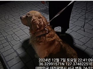 종료(반환) 골든 …